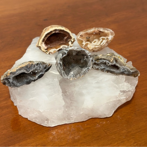 🧡🧡🧡Like this listing to be notified when I go live!🧡🧡🧡 - Picture 15 of 17